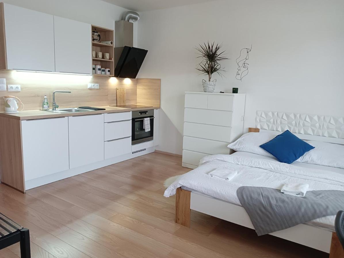 Apartment Bystrc *